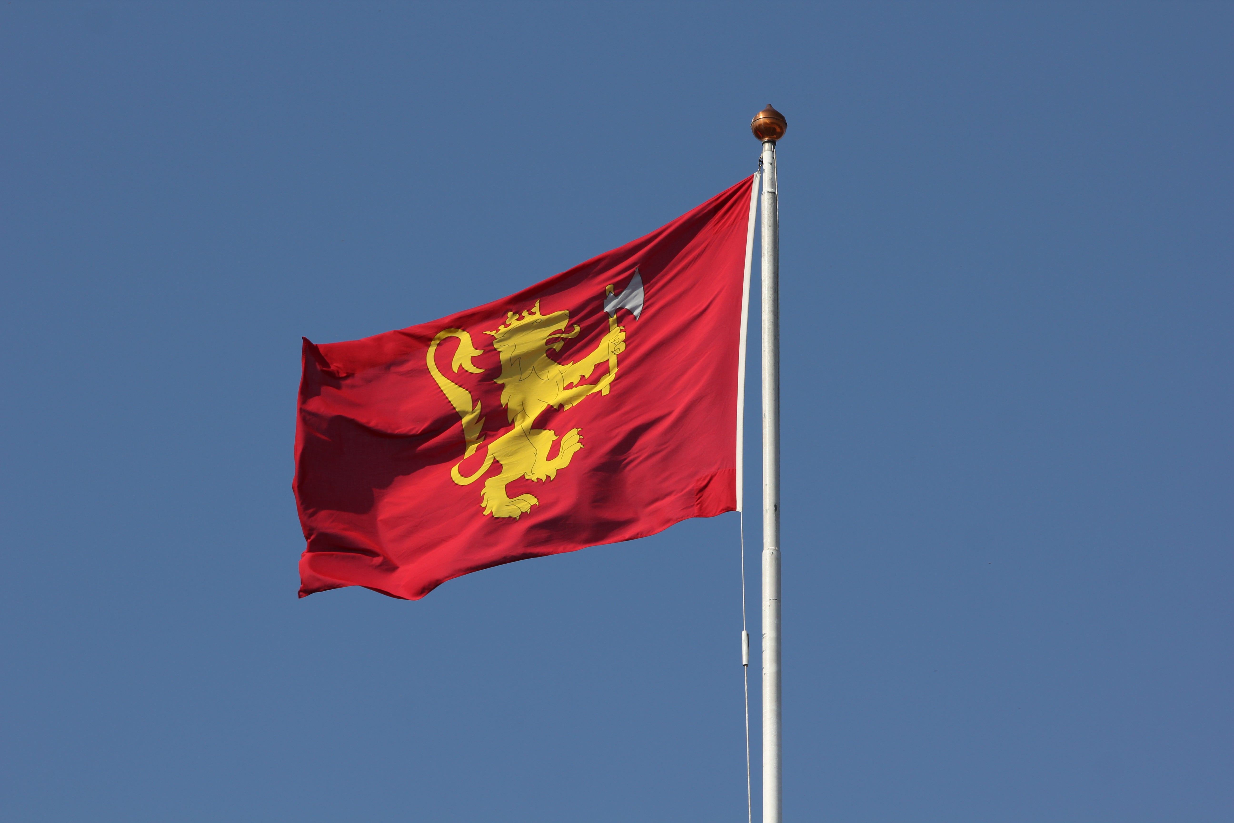 Flagning på Det Kongelige Slot i Norge – hvad betyder flaget?