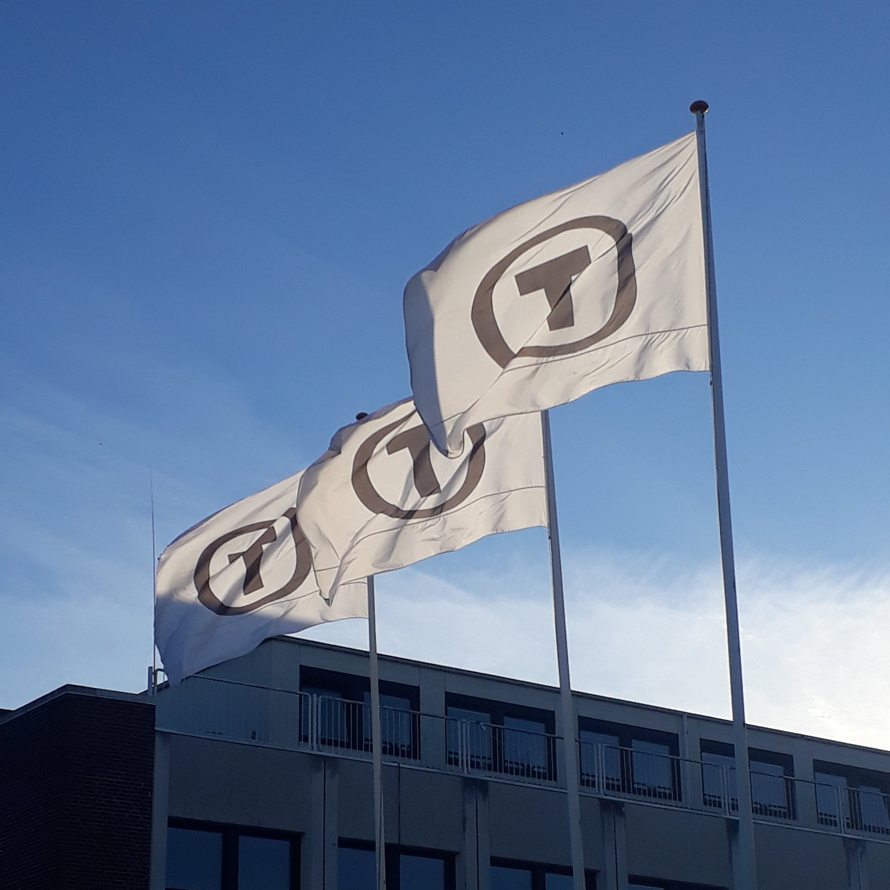Logoflag - Dannebrogsformat