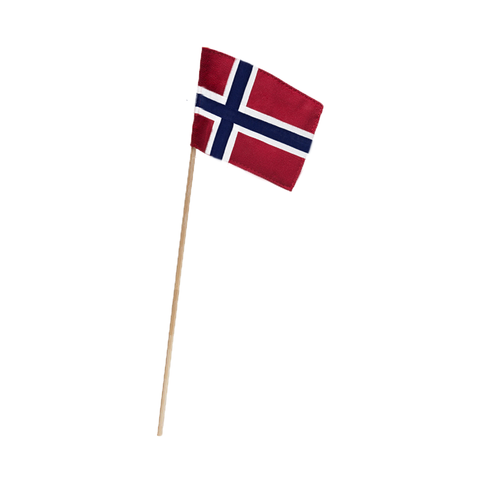 Norsk flag til Kay Bojesen Garder