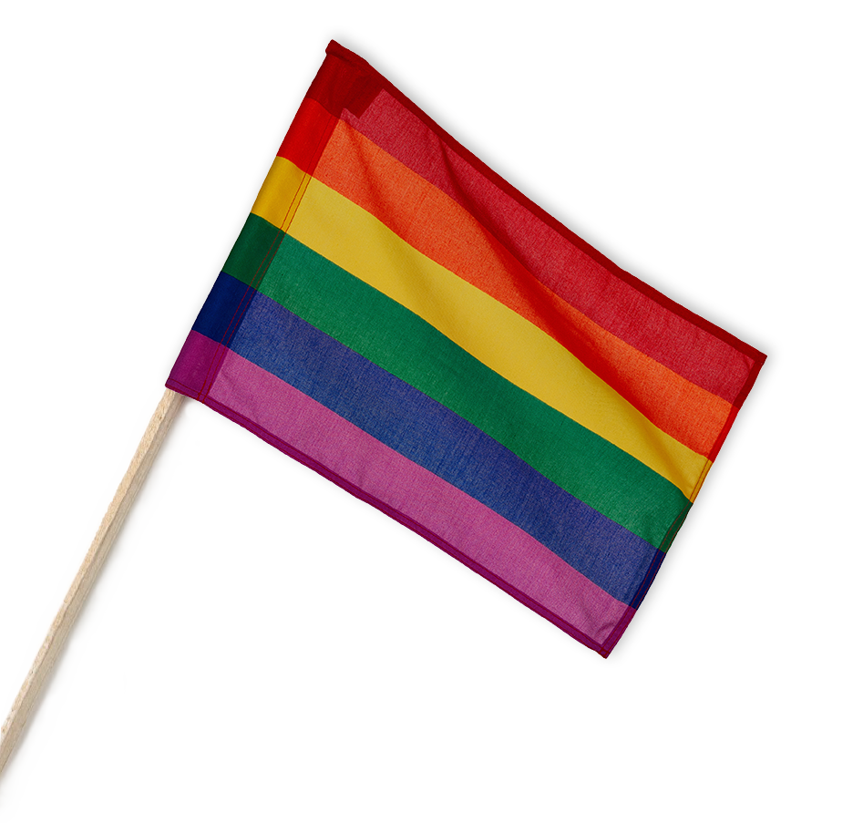 Regnbueflag på pind