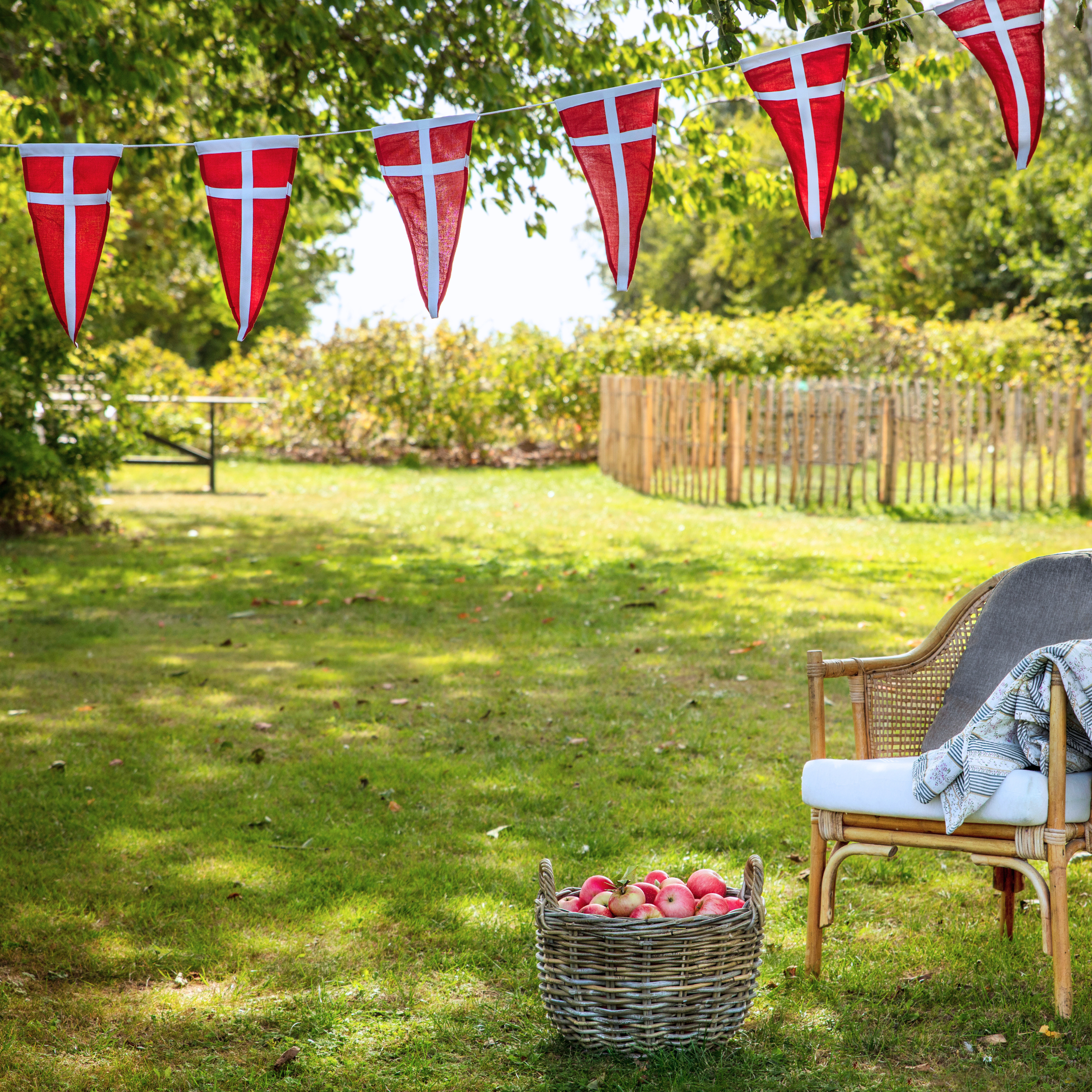 Eksklusiv vimpelranke