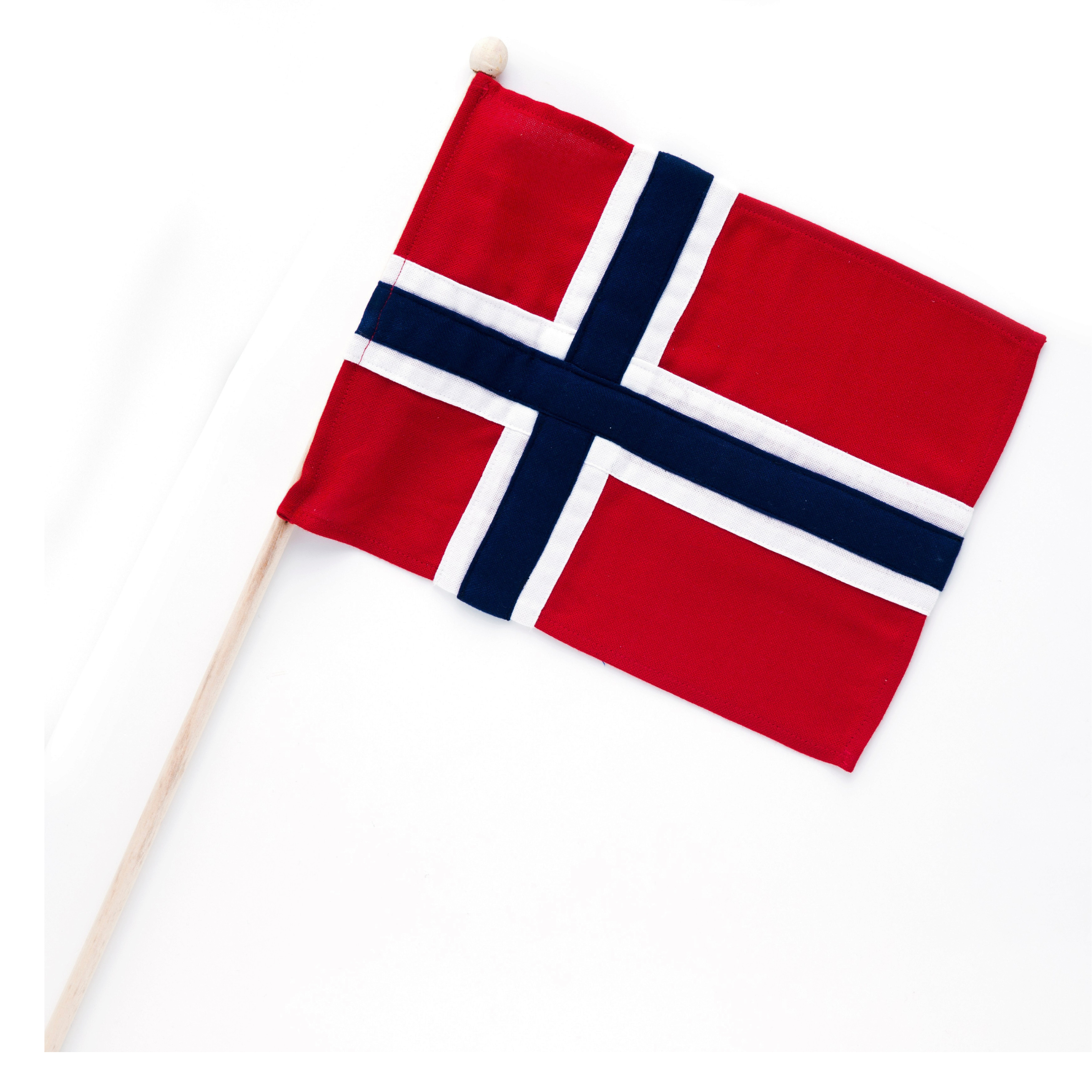 Flag på træpinde med norsk flag