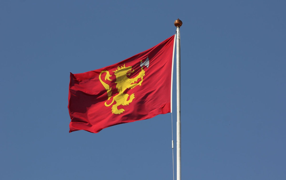 Flagning på Det Kongelige Slot i Norge – hvad betyder flaget?