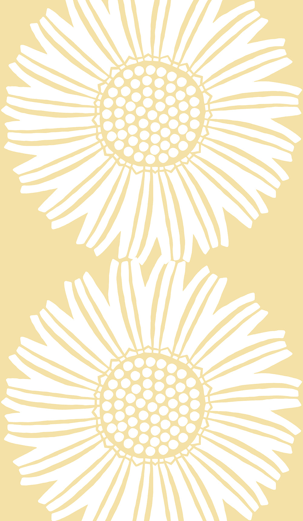 Daisy dug