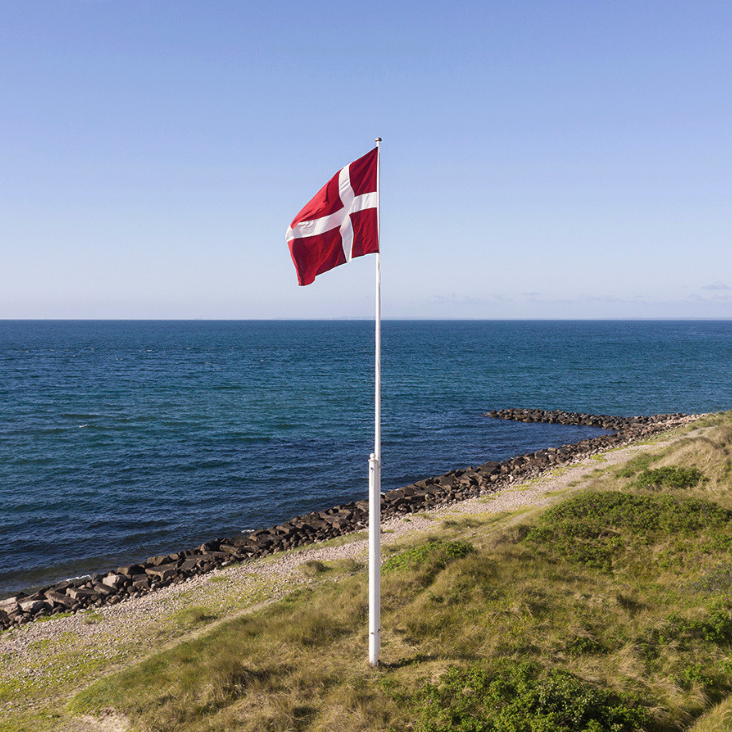 Dannebrog 1219